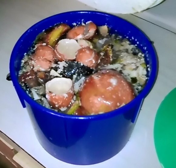 Compots in winter 4 Soaking-Scraps-in-Water