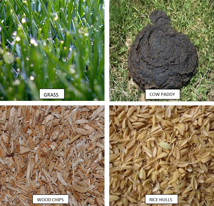 Why use a Garden Cover or Mulch? 2 Organic_Mulches