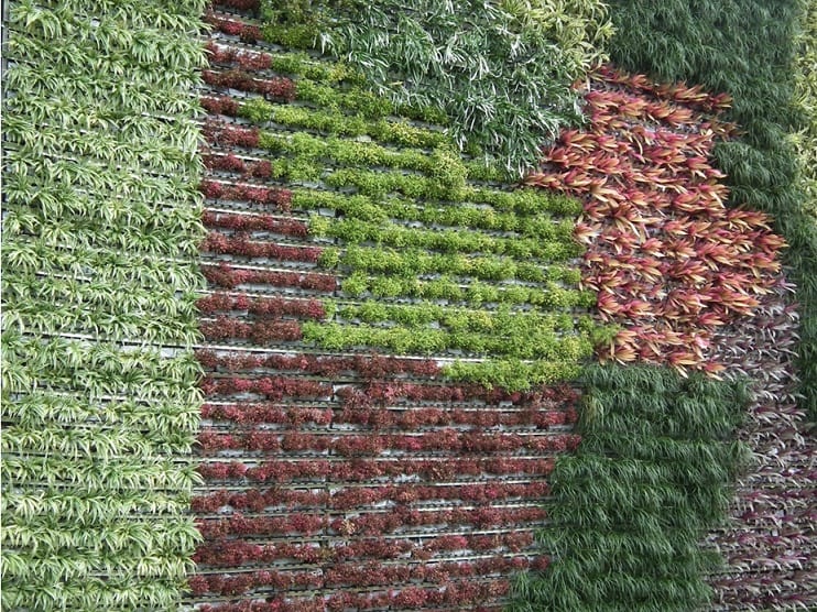 Wall-Garden