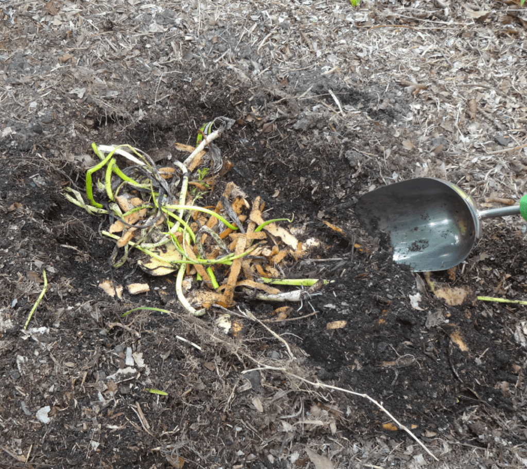 Direct_Trench_Composting 8-Methods-of-Composting
