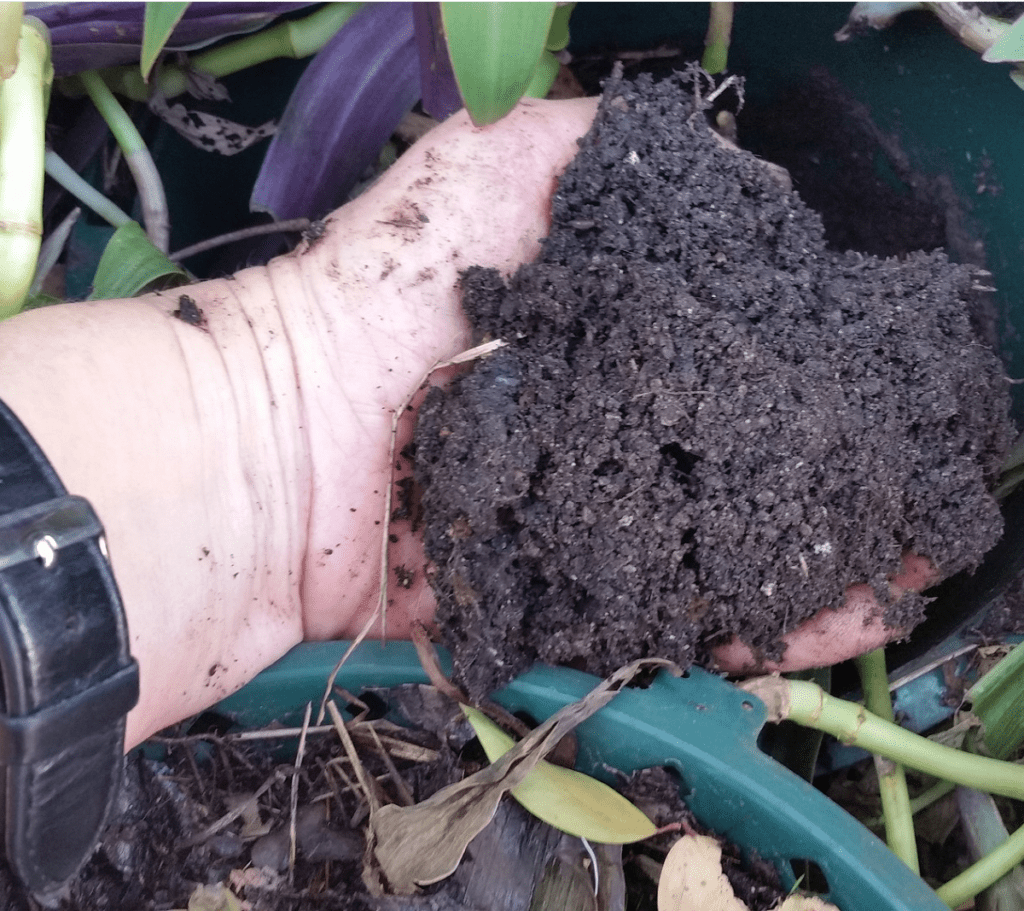 What Makes Good Compost? 4 Perfect_Compost