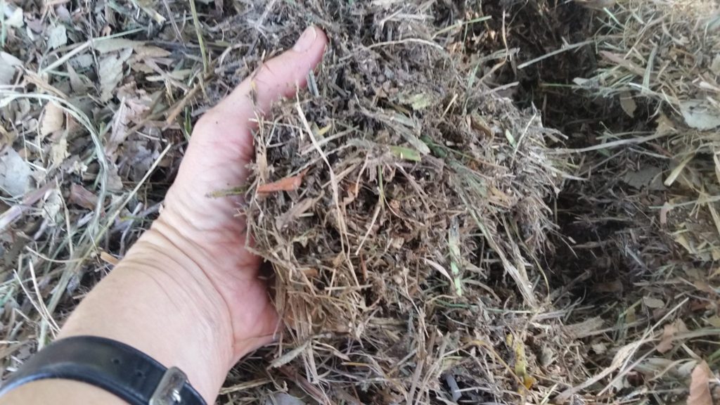 What Makes Good Compost? 1 Dry-Carbon-Nitrogen-Mix