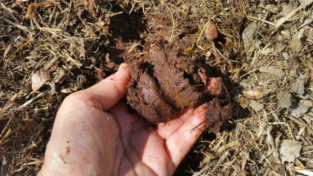 What Makes Good Compost? 2 Wet-Compost