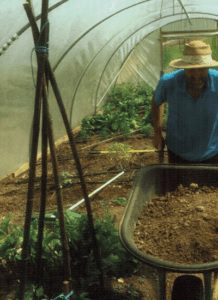 Composting Horse Manure - BEWARE 2 Collecting_Manuer