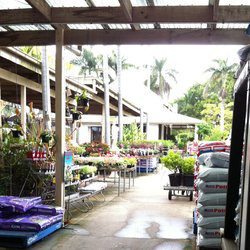 Environmental Effects On Plants 6 Garden nursery