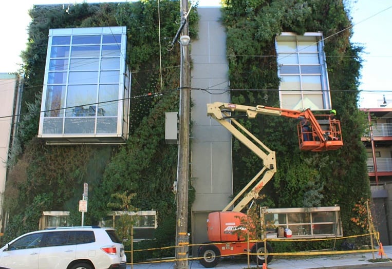 Are Vertical Gardens a Viable Option? 3 Maintaining-a-Wall-Garden