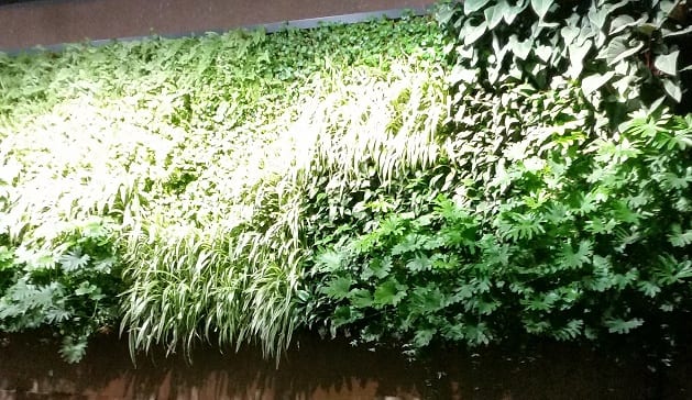 Are Vertical Gardens a Viable Option? 2 Wall-Garden-by-night