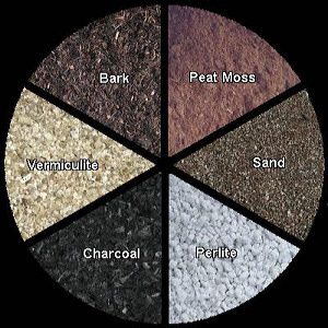Good and Bad Moss 6 potting_mix_ingredients