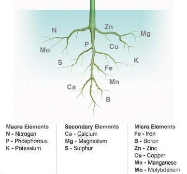 Rock Minerals 2 Trace_Elements