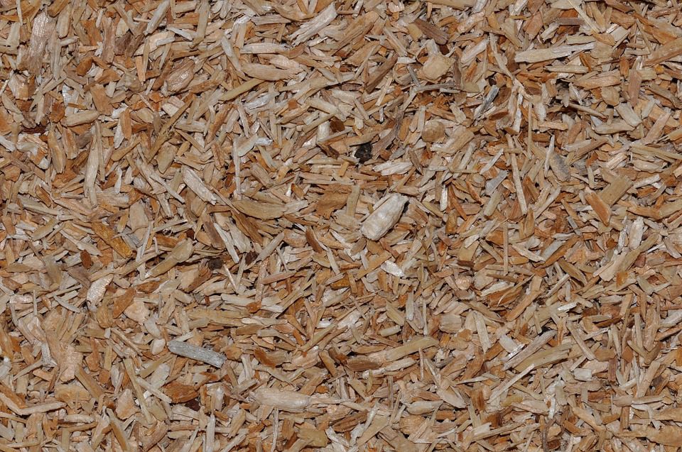 Why use a Garden Cover or Mulch? 1 woodchips as a ground cover