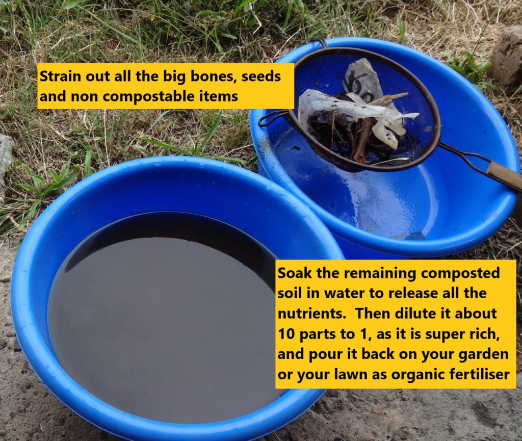 Bacterial Infections 8 DIY Organic Fertiliser