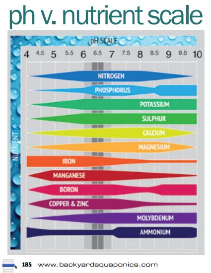 Bacterial Infections 7 pH Scale