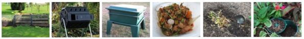 8 Ways to Compost Dog Waste at Home 4 6_Methods_of_composting_dog_poop