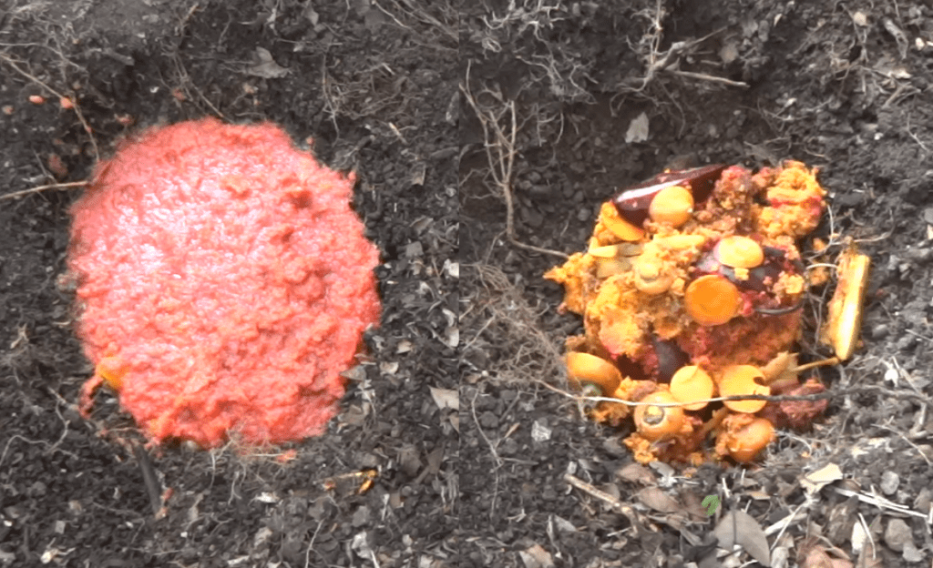 Composting Juiced Pulp - Direct Compost Solutions